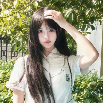 風情萬種野玫瑰