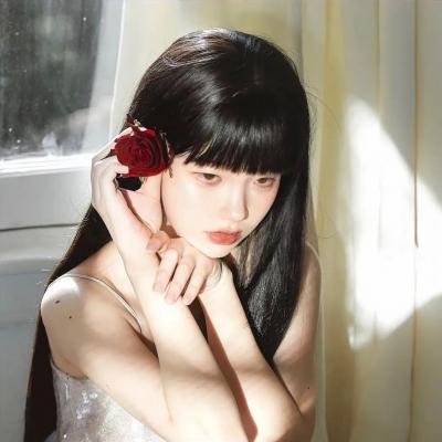 小狗吉米走私事件