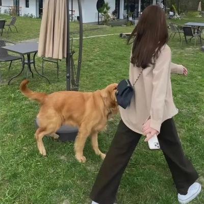 不期而爱第二季